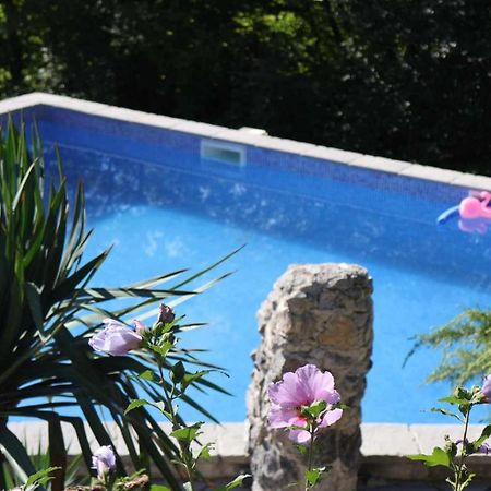 Villa Kuca Za Odmor "Neralic" Josipdol Exterior foto